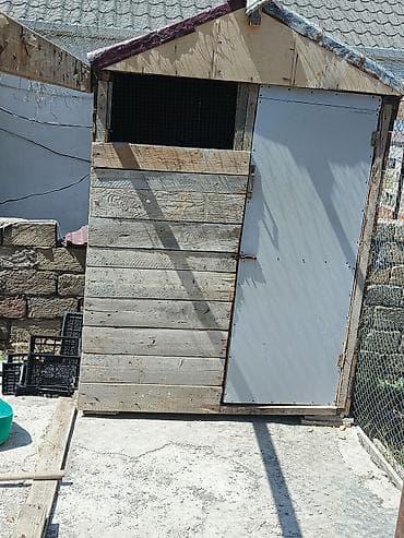 heyvan mal: Taxta göyərçinxana – hazır konstruksiya Məhsul təsviri: - Tam — 3