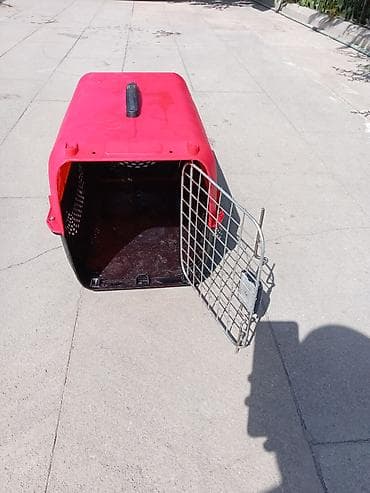 Heyvanlar üçün mallar: Heyvan daşıma boksu – kiçik it və pişiklər üçün - Rəng: qırmızı/qara - — 1