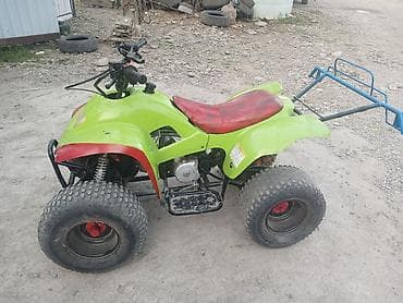 Motonəqliyyat: ATV (kvadrotsikl) – benzin mühərrikli, 4 təkərli - Rəng — 7