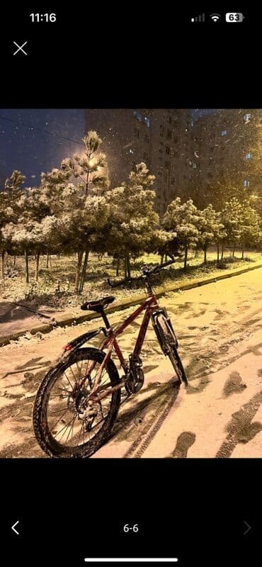 balıq tor: Velosiped – dağ/şəhər tipli, qırmızı rəng. Xüsusiyyətlər: - Güclü — 2