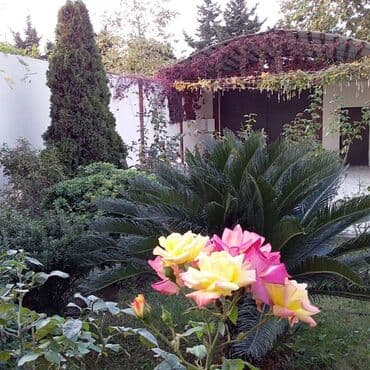 heyət evi: 6 otaqlı, 330 kv. m, Yeni təmirli — 14