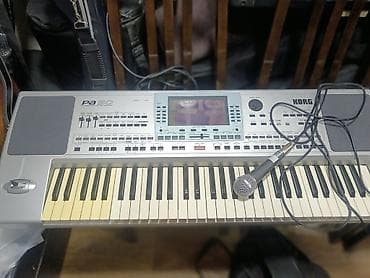akustik gitara satisi: Korg pa 50 — 1