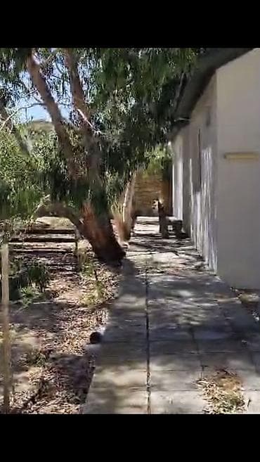 lerik ev kiraye: Nardaran. Sea Breezele uz-beuz 44 sot, 6 dene ev (ayrica), 11 otag — 4