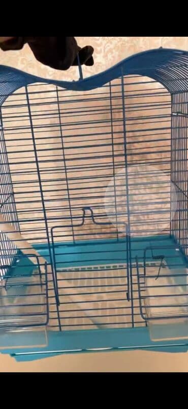 Quş qəfəsi – mavi metal karkaslı, dalğalı formalı üst hissə və daşıma