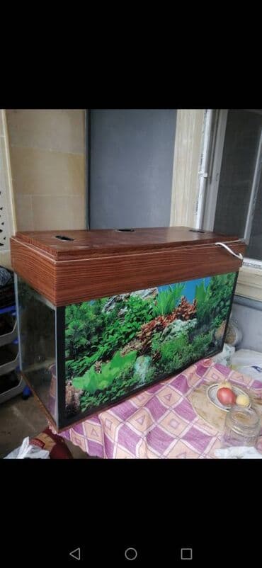baliq tutmaq ucun yem: Akvarium — 1