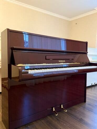 Akkordeonlar: Piano, Akustik, Pulsuz çatdırılma — 3