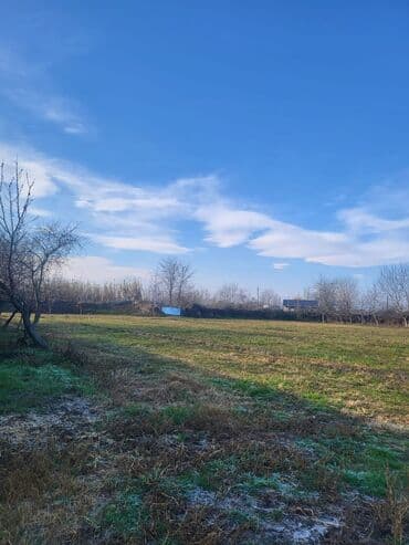 torpaa: 42 sot, Mülkiyyətçi, Kupça (Çıxarış) — 5