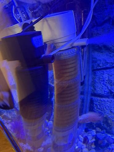 сколько стоит аквариум: Аквариум - 2 м ( 7,000 Манат Цена — 7