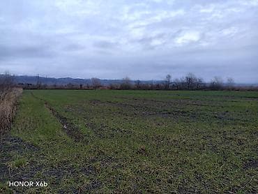 Гаражи: 200 соток, Для сельского хозяйства, Техпаспорт — 8