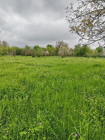 qebele ev satisi: 66 sot, Biznes üçün, Mülkiyyətçi, Kupça (Çıxarış) — 7