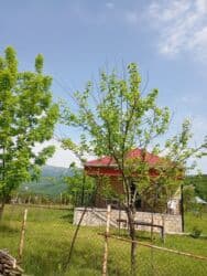 аренда частного дома: 2 otaqlı — 11