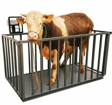 uzdeki lekeleri nece yox etmek olar: Terezi satışı temiri — 4