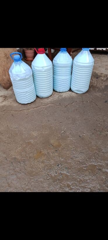 дистиллированная вода баку: Salam sud temiz yagli suddu gunde 150 litr olur real aliciynan — 3