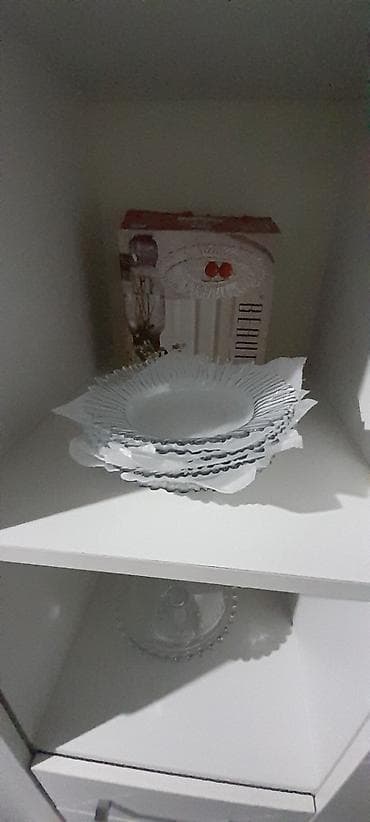 Bitkilər: Boşqablar, Şüşə — 5