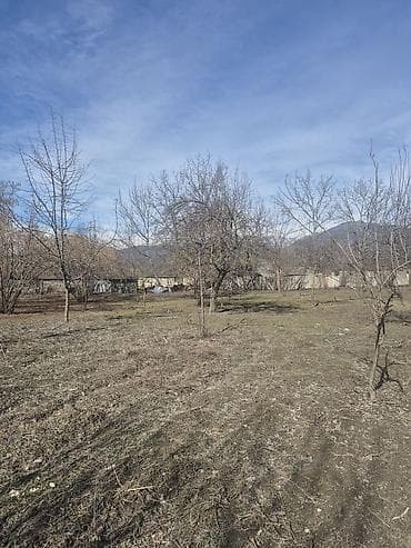 bine atciliqda torpaq satilir 2019: 13 sot, Tikinti, Mülkiyyətçi, Kupça (Çıxarış) — 4