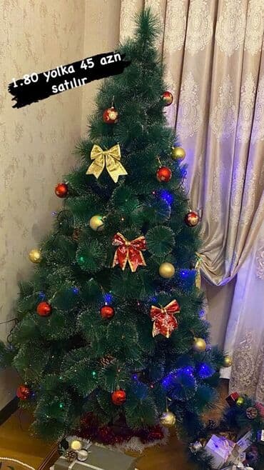 купить живую елку в баку: Yeni il yolkası – 1.80 m - Hündürlük: 1.80 m - Rəng: tünd yaşıl — 1