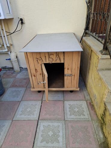 Islenmeyib Pisik ucun duzeltdirmisem satilir it ucunde istifade etmek