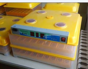 İnkubatorlar: Çin, Fabrik istehsalı, Tam avtomat, Zəmanət ilə — 6