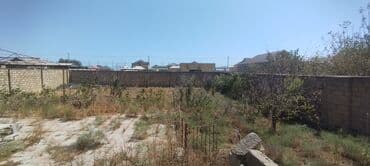 şabran torpaq: Tikinti, Mülkiyyətçi, Kupça (Çıxarış) — 4