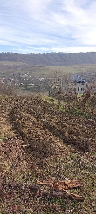 kohnə suraxanı: Kənd təsərrüfatı — 6