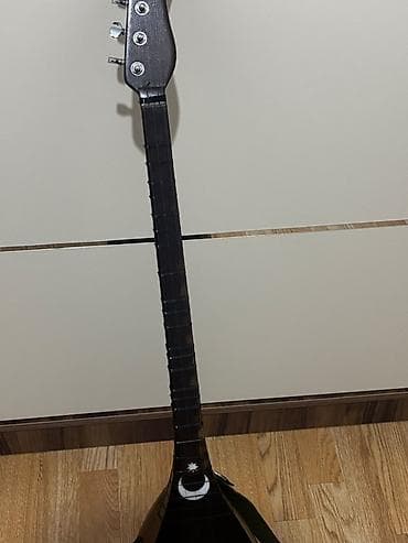 korg pa set: Elektro saz – professional səhnə və studiya istifadəsi üçün - Korpus — 5