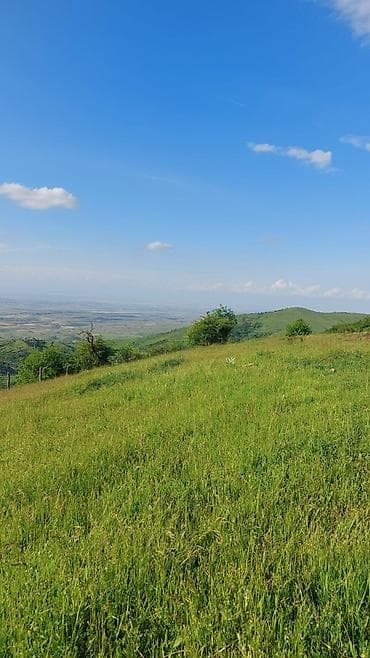 Daşınmaz əmlak: Satılır: Dağ mənzərəli torpaq sahəsi - Təyinat: fərdi yaşayış/evi — 2