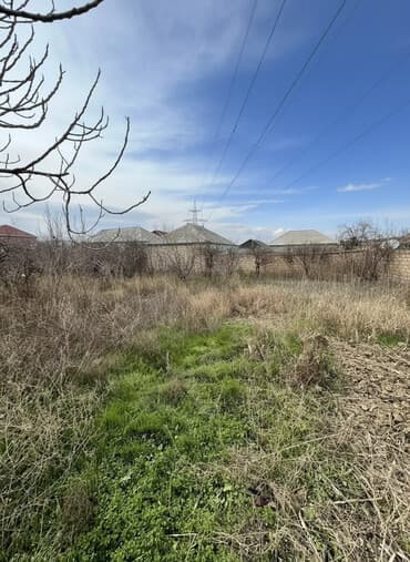 6 sot, Mülkiyyətçi, Bələdiyyə