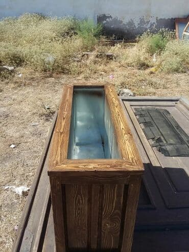 dibçek gulleri: Dibçək güldanlar. Dipçəklər bir başa sexdən.Sex qiymətinə. ♦️Endrim — 5