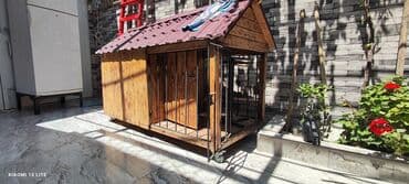 goyərcin yuvaları: Ölçüsü 2x1, it üçün yuva, boş boş adamlar narahat eləməsin zəhmət — 1