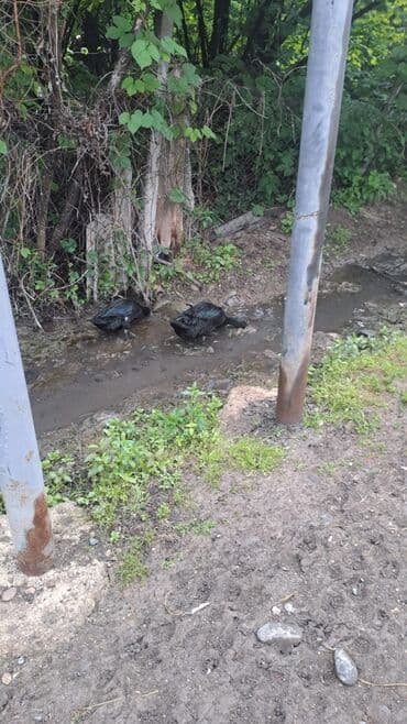 Bıçaqlar: Məhsul: Yerli ördək (qara tüklü) Xüsusiyyətlər: - Rəng: Tünd qara — 1