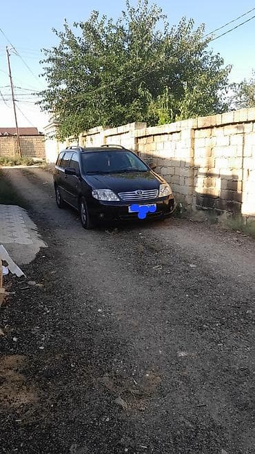 masin satmaq: Toyota Corolla Fielder – universal kuzovlu, qara rəng. Xüsusiyyətlər — 3