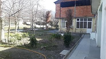 Shekide S.Mumtaz kucesinde serhed qosunlarin qabaqi, mehkeme