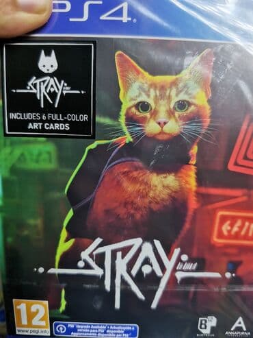 ipad baku: Ps4 stray — 1