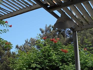 plesteyşn 5: Fotoaparat Nikon Coolpix S2800 20 meqapiksel CCD matrisası, 5 qat — 9