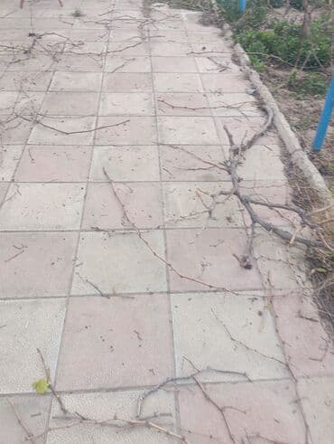 qızıl gül buketi: Baqlarda abadlik isleri — 2