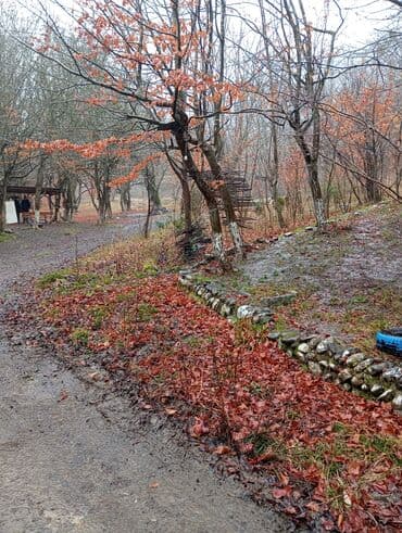 kirayə aylıq: 3000 kv. m, 3 otaqlı — 18