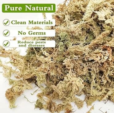 monstera bitkisi: Bitkilər üçün yosun 12 litr.Sphagnum Moss – orkide və digər epifit — 3