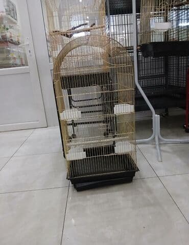 xamyak qefesi: Her novde her qiymete qefeslermiz var catrilma var metrolara rayolara — 6