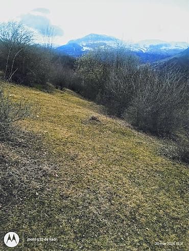 turkanda heyet evleri 2020: Kənd təsərrüfatı — 6