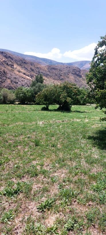 аренда и продажа недвижимости: Əkin sahəsi kənd təsərrüfatı fəaliyyəti üçün geniş imkanlar təklif — 3