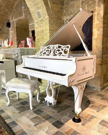 saksafon qiymetleri: Yalniz yeni aletler!!! Royal musiqi aletleri salonu sizlere genish — 1