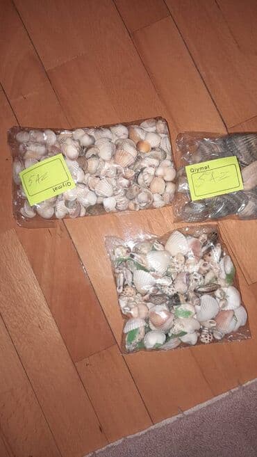 лоток для кошек баку: Baliqqulaqlar 1 packa 5 azn — 1