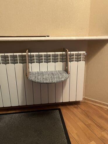 pişiy yuvası: Pisikler ucun etajet — 1