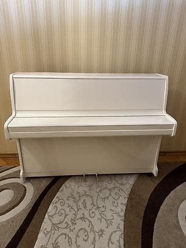 Elektrik nəqliyyatı: Piano, Zimmermann, Akustik — 4