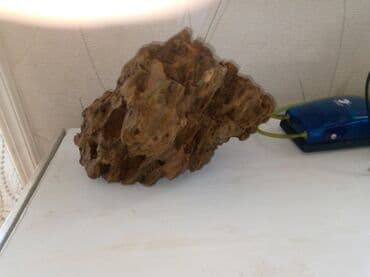 arpa toxumu satışı: Tecili dekor daş satılır endirimde edecem isteyen yıxa biler cox vaxdı — 1