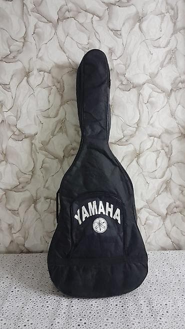 korg pa 3: Klassik akustik gitara və yumşaq çanta dəsti - Korpus: tam ölçülü — 1