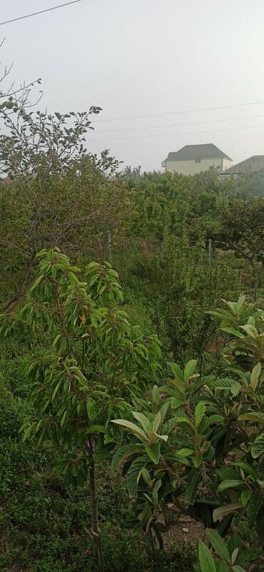 sumqayıt yaşma: 7 комнат, 120 м², Средний ремонт — 4