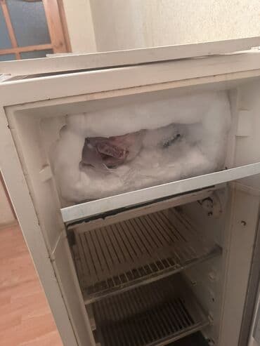 ВАЗ (ЛАДА): Bir kameralı soyuducu - Klassik ağ korpus, yuxarıda kiçik dondurucu — 6