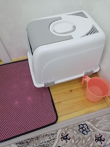 pişik alıram: Salam pişiyim böyüdüyü üçün tam sığmır. O üzden satıram. Yeni kimidir — 3