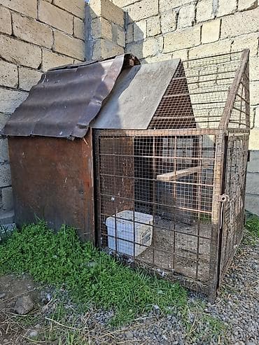 Quşlar: Dəmir karkaslı quş qəfəsi/peykan - Material: tam metal karkas, tor — 1